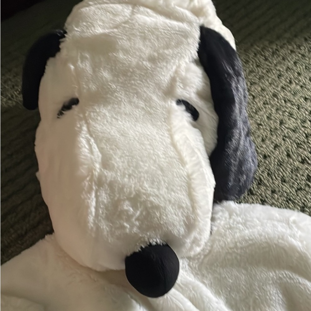 Pottery Barn Snoopy Costume
